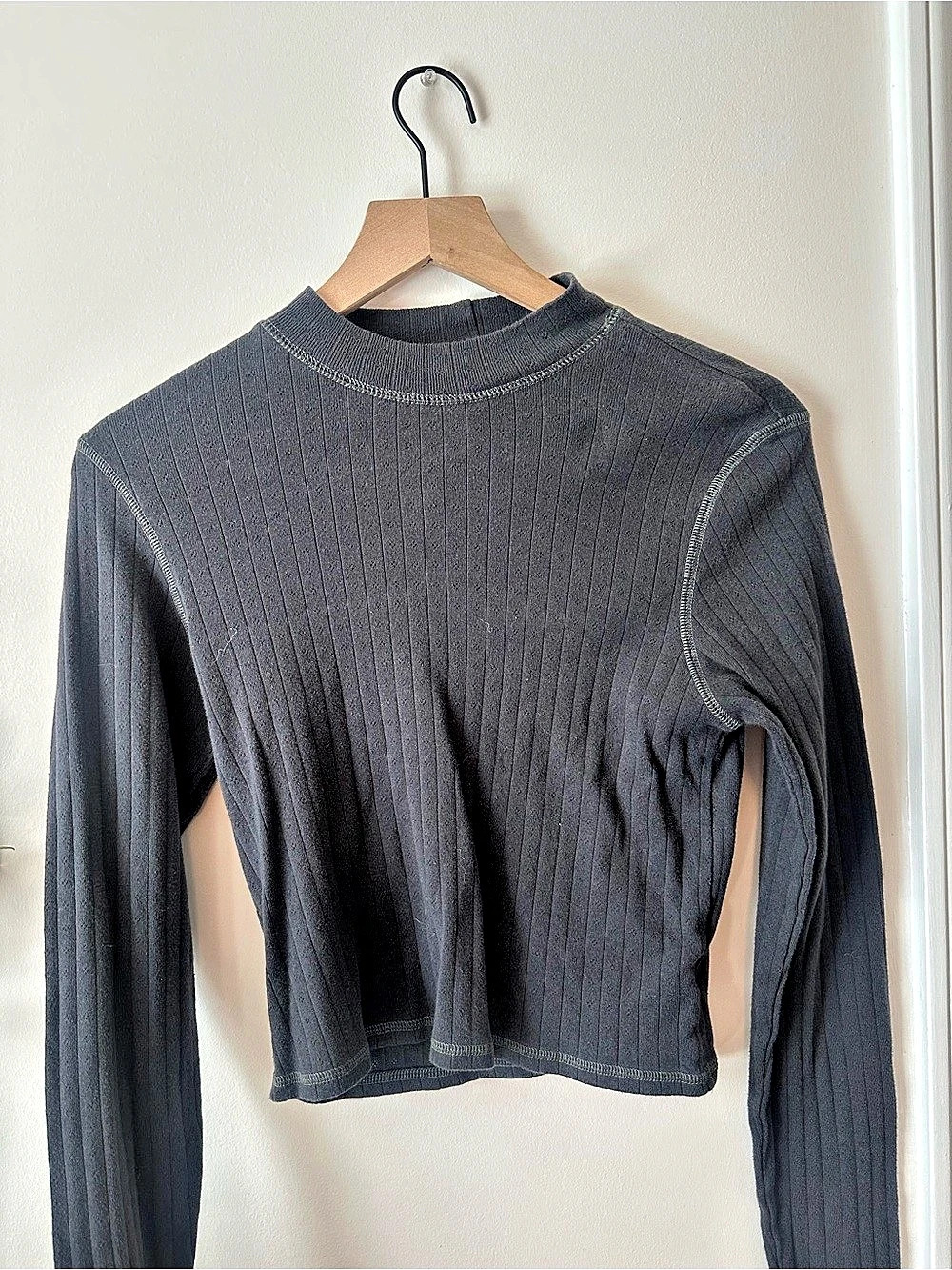 American Eagle Cropped Ribbed Mock Neck Long Sleeve Top